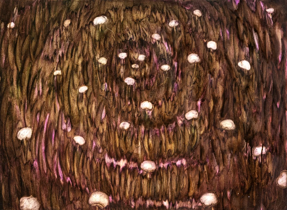 Exposum II, 15