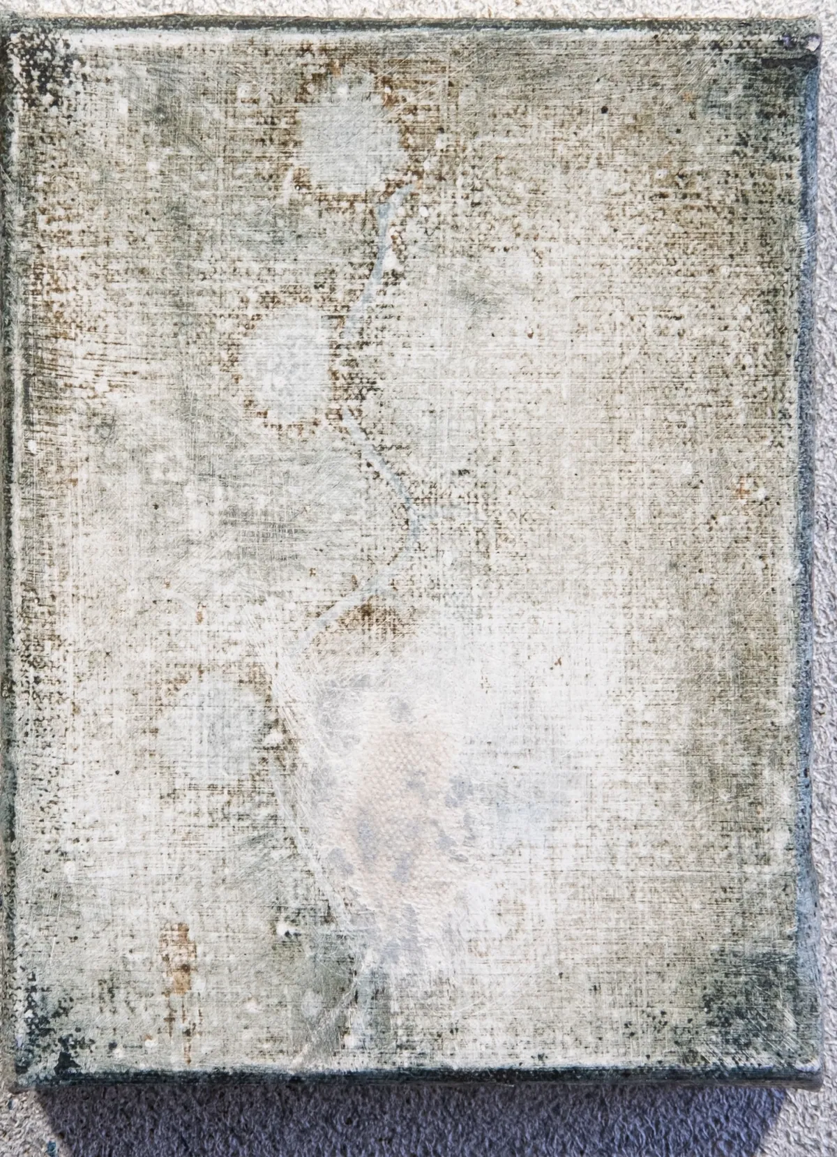 Never bothered to bloom (détail), 2025, Huile sur lin (dyptique), 18 x 28 x 2,5 cm, Collection privée