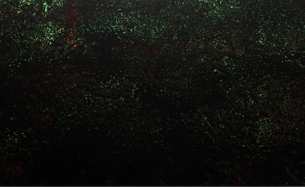Inner Passengers 05, 2023, Tirage unique sur alluminium, 100 x 180 x 0,2 cm